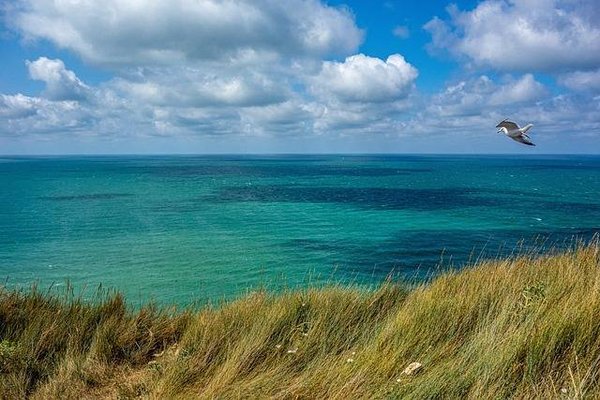 Les meilleurs campings pour un séjour paisible en bord de mer en Normandie